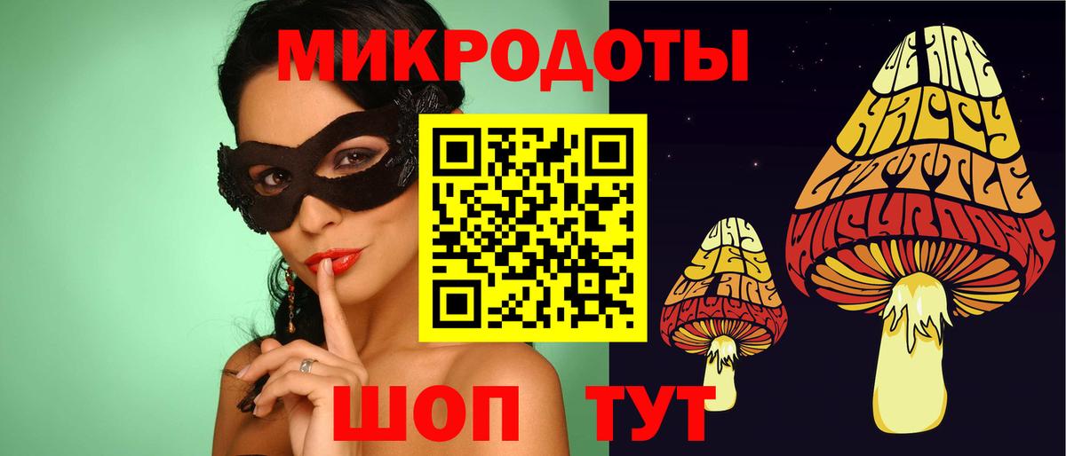 Галлюциногенные грибы Cubensis Железногорск